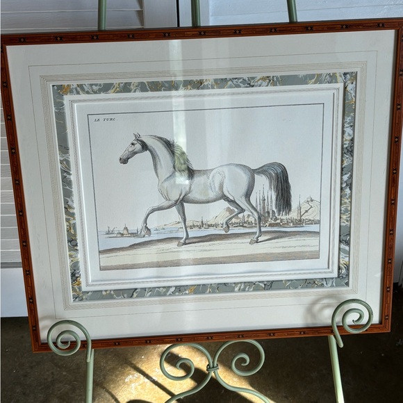 Rare Le Turc horse fine framed artwork hand colored? Turkish horse academia